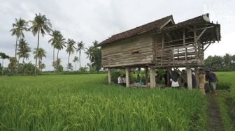 Amazing! Melongok Wisata 'Ndeso' Banyuwangi yang Lagi Ngehits Saat Ini