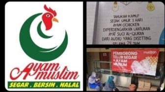 Viral Ayam Muslim, Sejak Menetas Didengarkan Lantunan Al Quran, Apa Rasanya