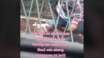 Kucing Mati Ditabrak, Pengorbanan Pria Ini saat Mengubur Bikin Warganet Salut