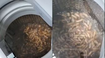 Viral Video Cuci Kacang di Mesin Cuci, Publik: Kalau Gue Udah Diomeli Emak