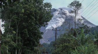 Bekas Erupsi Merapi Rabu Siang, Ini Penampakan Pohon Terbakar dekat Bukit Turgo