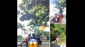 Viral Penjual Starling Seksi, Bikin Heboh Tukang Mancing di Pulau Serangan