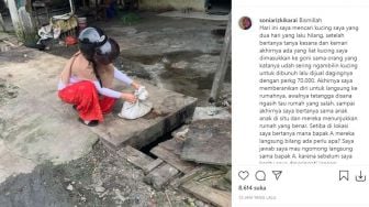 Viral Wanita Cari Kucing yang Hilang, Ketemu di Dalam Karung Tinggal Kepala