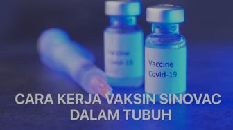 Hari Ini Kaltim Kedatangan 13.380 Vial Vaksin Sinovac, Ini Peruntukannya