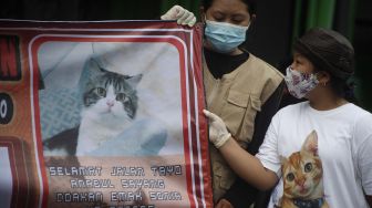 Pecinta Satwa Mengutuk Penyembelihan Kucing Tayo di Medan