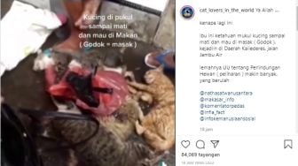 Viral Video Wanita Pukuli Kucing sampai Mati, Ngaku Dagingnya Mau Direbus