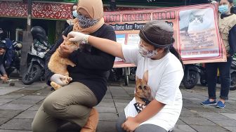 Kucing Disembelih di Medan, Komunitas Rumah Difabel Meong Solo Tak Terima