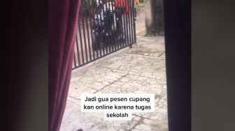 Beli Ikan Cupang di Olshop, Pemuda Ini Emosi saat Buka Paketnya