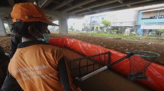 Petugas PPSU menjaring ikan lele yang dibudidayakan di kolong Tol Becakayu, Kalimalang, Jakarta, Selasa (2/2/2021). [Suara.com/Angga Budhiyanto]