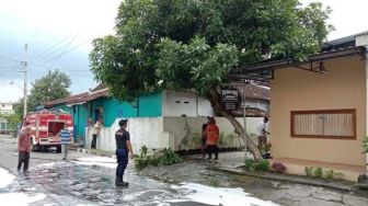 Dendam! Tawon Vespa Teror Balik Warga Sukoharjo Setelah Sarang Dihancurkan