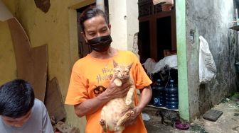 Kesaksian Warga soal Aksi Keji Nenek Pembunuh Kucing di Kalideres