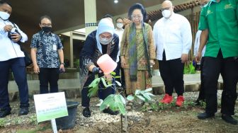 Kemnaker dan Martha Tilaar Kembangkan Produk Obat dan Kosmetik