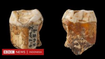 Temuan Gigi Ungkap Kawin Silang Manusia Purba dan Manusia Modern