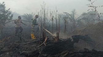 Kampar Tetapkan Status Siaga Darurat Karhutla