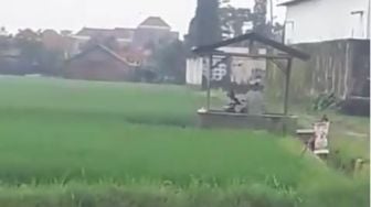 Viral Video Sejoli Kepergok Mesum di Tengah Sawah, Ditegur Malah Lanjut