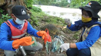 Anggota satgas naturalisasi Ciliwung Kota Bogor mengumpulkan sampah masker medis bekas pakai di bantaran sungai Ciliwung, Kelurahan Sukaresmi, Kota Bogor, Jawa Barat, Rabu (3/2/2021).