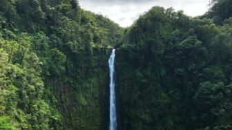 Curug Layung, Wisata Air Terjun di Kawasan Rekreasi Lereng Gunung Tangkuban Perahu