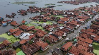 Pantura Jateng Terancam Tenggelam, Ini Tanggapan Gubernur Ganjar