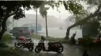 Bogor Diterjang Hujan Badai, Pohon Tumbang Timpa Banyak Motor