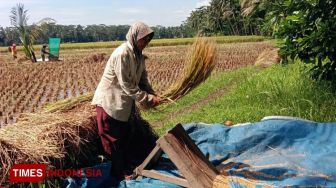 Masih Ada 3.671 Kartu Tani yang Belum Diambil Petani di Padang