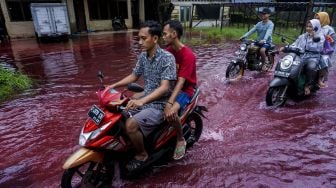 Pengendara motor melintas di jalan perkampungan yang tergenang banjir berwarna merah di Jenggot, Pekalongan, Jawa Tengah, Sabtu (6/2/2021). [ANTARA FOTO/Harviyan Perdana Putra]