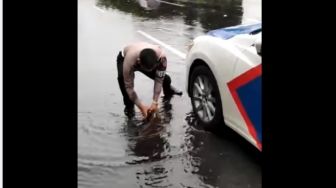 Viral Aksi Polisi Selamatkan Nyawa Ikan Lele di Jalan, Warganet Jadi Salfok