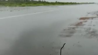 Bandara Ahmad Yani Lumpuh Total Akibat Banjir