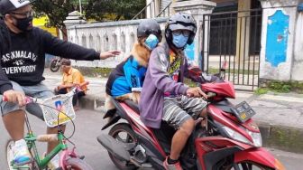 Joy, Anjing Viral Pakai Helm Dibonceng Motor Kini Pakai Masker