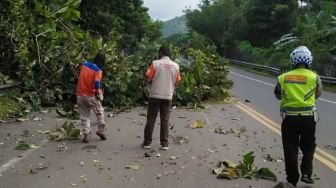 22 Kali Pohon Tumbang di Bandar Lampung, BPBD Siagakan 72 Personel
