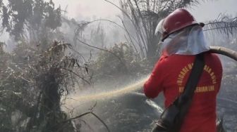 Dua Hektar Lahan Terbakar di Kabupaten Siak