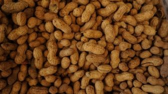 10 Manfaat Kacang Bagi Tubuh, Baik untuk Kesehatan Tulang dan Otak