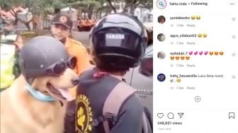 Viral Video Anjing Pakai Masker, Warganet: Manusia Maskernya Melorot