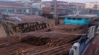 Penyelundupan 5.700 Batang Kayu Ilegal ke Malaysia Digagalkan