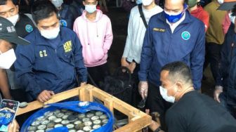 Gagalkan Penyelundupan 450 Kg Ganja di Parung Bogor, BNN: Diduga Mirip Napi