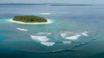 Heboh! Pulau di Mentawai Dijual Online, DKP Sumbar: Tidak Ada