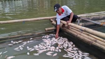 Banyak Ikan Mati, Nelayan Kendari Tolak Lokasi Keramba Jaring Apung