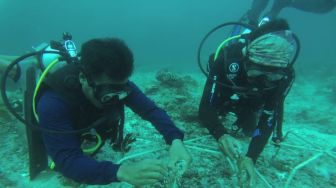 Taman Karang di Perairan Lombok Utara, Pulihkan Pariwisata Bahari