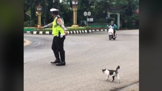 Bantu Kucing Menyeberang Jalan, Petugas Polisi Ini Banjir Pujian