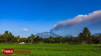 Lahan Pertanian Terpapar Abu Gunung Raung, Stok Pangan Aman