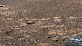 Ini Foto Paling Dekat nan Indah dari Matahari dan Planet Mars