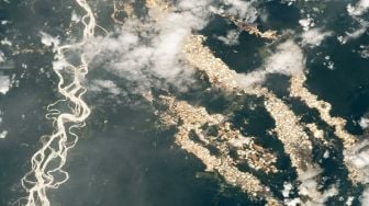 Langka dan Menakjubkan! NASA Rilis Penampakan Sungai Emas Amazon