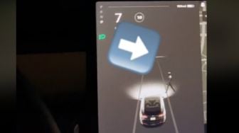 Beli Tesla Buat Uji Nyali Berburu Hantu, Gimana Kalo Dicoba di Alas Roban?