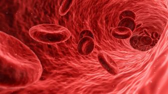 7 Fungsi Darah di Tubuh Manusia, Membawa Oksigen Hingga Melawan Penyakit