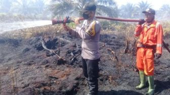 20 Hektare Lahan Sawit di Kabupaten Agam Terbakar