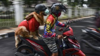 Aril Saputra bersama anjingnya bernama Joy mengendarai motor dengan mengenakan helm dan masker di pusat Kota Tasikmalaya, Jawa Barat, Senin (15/2/2021).  ANTARA FOTO/Adeng Bustomi
