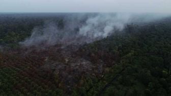 Soal Karhutla, Peneliti Dorong Birokrasi-Anggaran Fokus ke Pencegahan