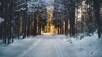 5 Arti Mimpi Salju: Ada Rasa Sedih Dan Kebahagiaan