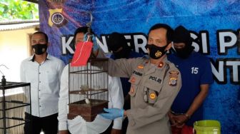 Tak Kapok, Residivis Pencurian Burung di Bantul Kembali Ditangkap Polisi