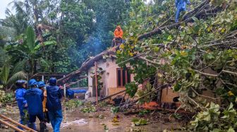 Hujan Angin Guyur Bantul, Pohon Tumbang Timpa Rumah dan Tutup Akses Jalan