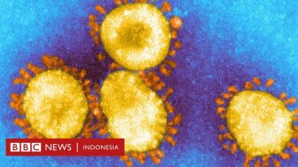 Varian Baru Virus Corona Ditemukan Lagi di Inggris, 38 Kasus Telah Muncul